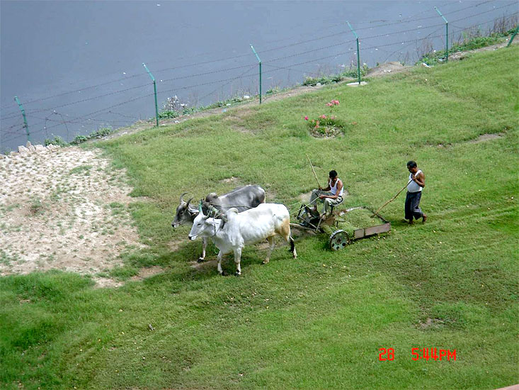 Agra: zemdělci u Tádž-Mahálu, návštěva Indie 30.3. – 3.4.2008