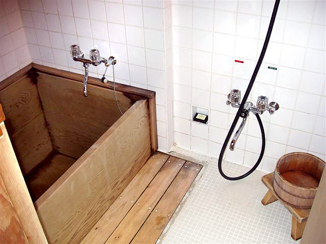 Koupelna v japonském hotelu, Meziparlamentní delegace Evropského parlamentu v Japonsku 15. - 21. května 2005