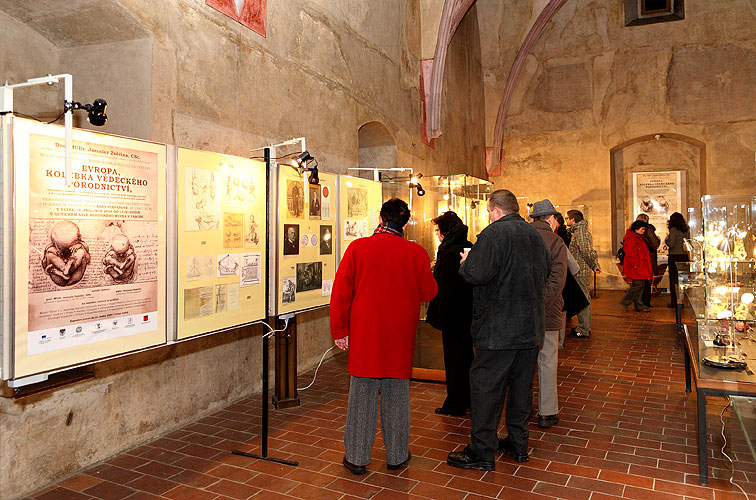 Vernisáž výstavy "Evropa - kolébka vědeckého porodnictví" v Táboře, 19. prosince 2008, foto: Lubor Mrázek