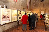 Vernisáž výstavy "Evropa - kolébka vědeckého porodnictví" v Táboře, 19. prosince 2008, foto: Lubor Mrázek | 