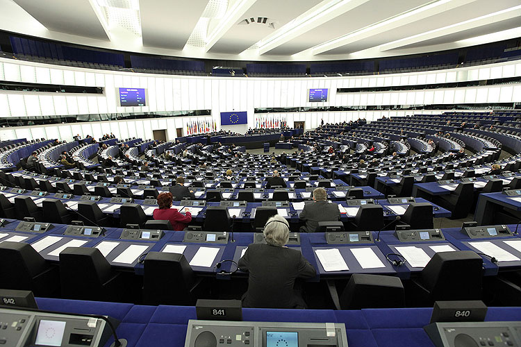 Plenární zasedání Evropského parlamentu ve Štrasburku, 25.3.2009, foto: Martin Frélich